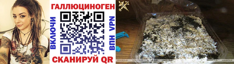 Галлюциногенные грибы Cubensis  Калачинск 